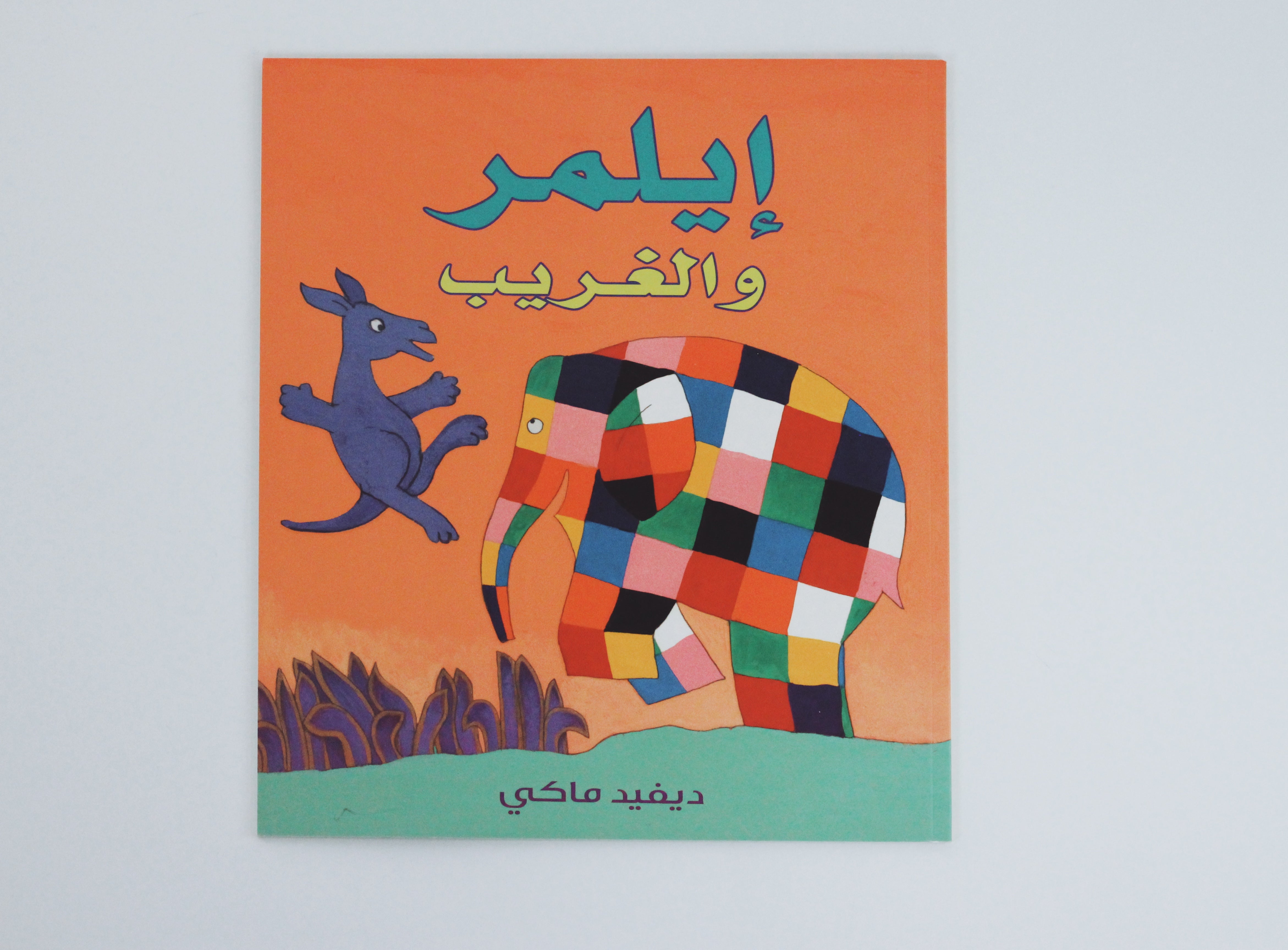 إيلمر والغريب