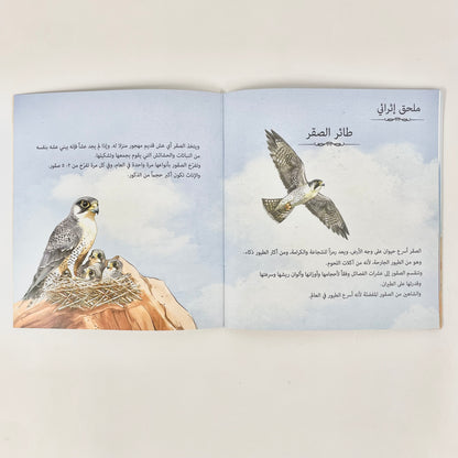 شاهين