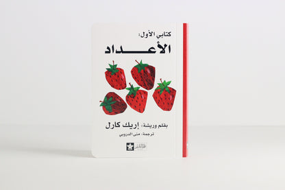 سلسلة كتابي الأول | إريك كارل